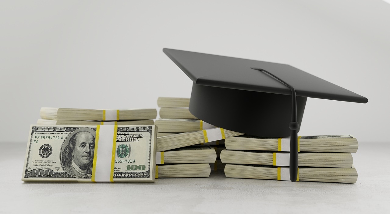 Rappresentazione visiva dell'articolo: FIGLIO MIO, QUANTO COSTA LA TUA UNIVERSITÀ!